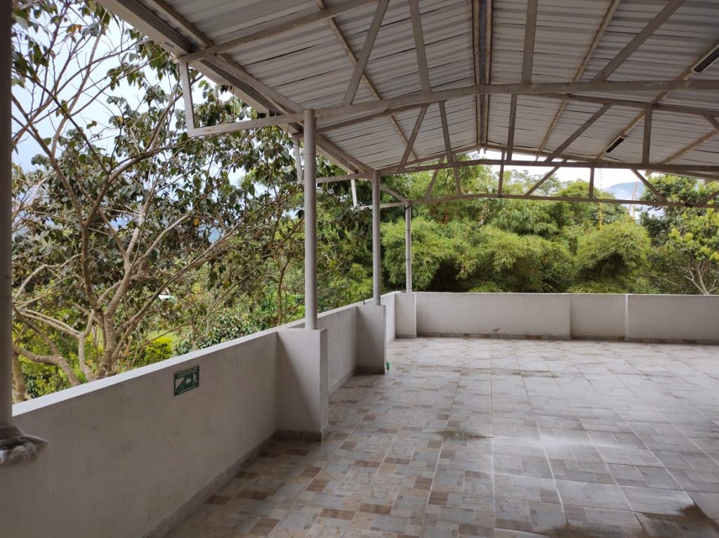 Terraza 1
